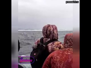 На Сахалине с отколовшейся льдины спасли 82 рыбака  их уносило в море  В Охотском море на Сахалине