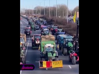 Навозный бунт добрался до Бельгии  фермеры стягивают сельхозтехнику к крупным городам и перекрывают дороги из-за политики вла