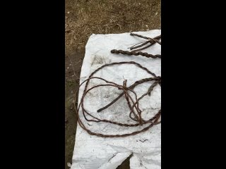 Видео от Кора пробкового дуба (оформление террариума)