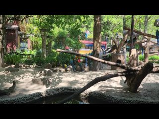 Safari World Bangkok Video 5