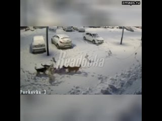 В Новом Уренгое стая бездомных собак напала на третьеклассницу  В микрорайоне Энтузиастов школьница