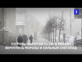 Сугробы высотой 53 см: в Москву вернулись морозы и сильный снегопад