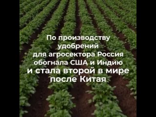 Сельское хозяйство России в цифрах