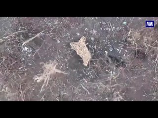 UAV units of the Russian paratroopers, using quadcopters with drops, destroyed the Ukrainian infantry