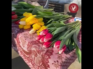 Питомник «Васильки» предлагают гостям выставки-ярмарки #ВЕСЕННЕЕ_НАСТРОЕНИЕ местные орловские тюльпаны. Ими отец Елены занимаетс