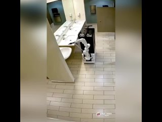 Робот уборщик  Скоро во всех туалетах страны