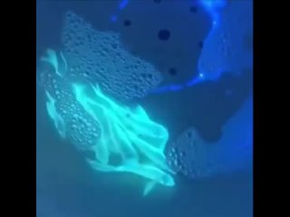🖥 Эксперименты с генной модификацией.
Ученые Тайваня внедрили гены медузы в ДНК карпов, и те стали светиться в темноте. Эти тех
