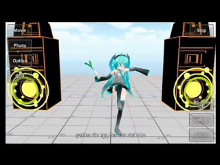 Ar concert with Miku