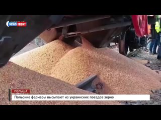 Польские фермеры высыпают из украинских поездов зерно