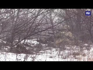 Combat work of a group of heavy snipers of the Pacific Fleet