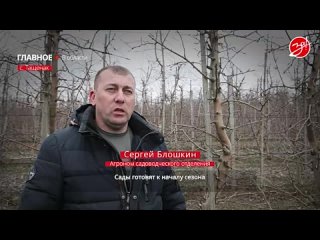 В селе Тащенак готовят сады к началу сезона