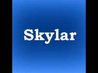 Skylar Engineering (Video )