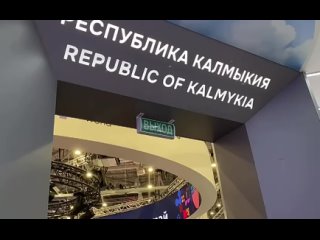 Кампус Калмыкии на Всемирном фестивале молодежи  посетил 3-х кратный олимпийский чемпион, 9-ти кратный чемпион мира, 12-кратный