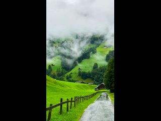 Этот мир — как эхо в горах: если мы бросаем в него гнев, возвращается гнев; если мы отдаём любовь, возвращается любовь.... (видео)