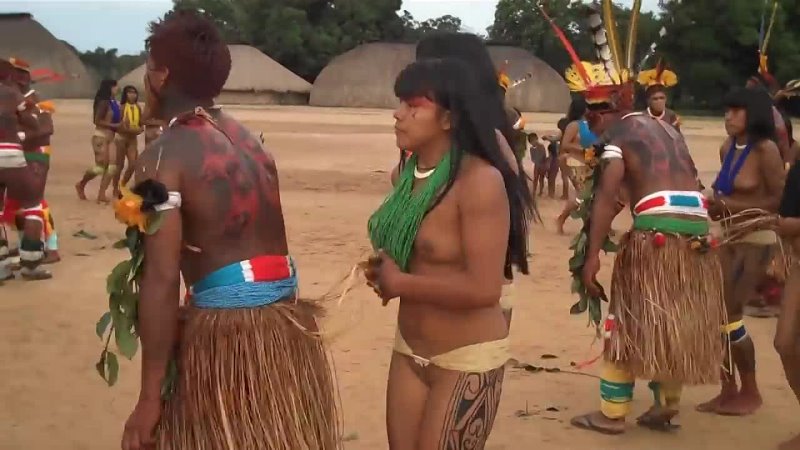 Brazil indigenous