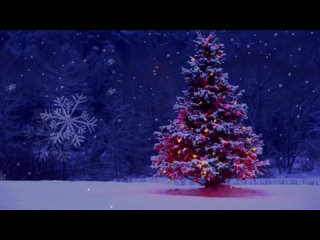 Christmas Tree Snow Live Wallpaper