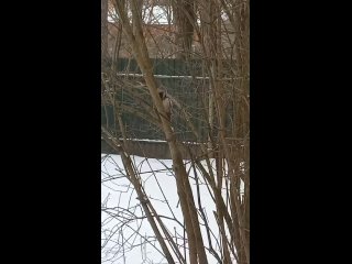 Видео от Натальи Лимашевой