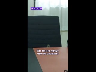 Этот "спикер" вроде как яйца свои лижет))) - Rafael Zakirov