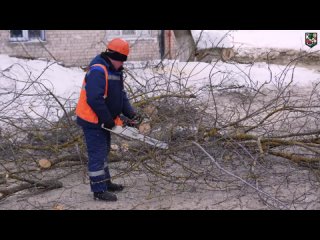 Социальный участковый ускорила решение вопроса со спилом дерева возле дома № 19А по ул. Бориса Панина