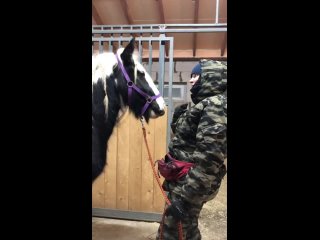 Video by Фотоальбом безумного конника