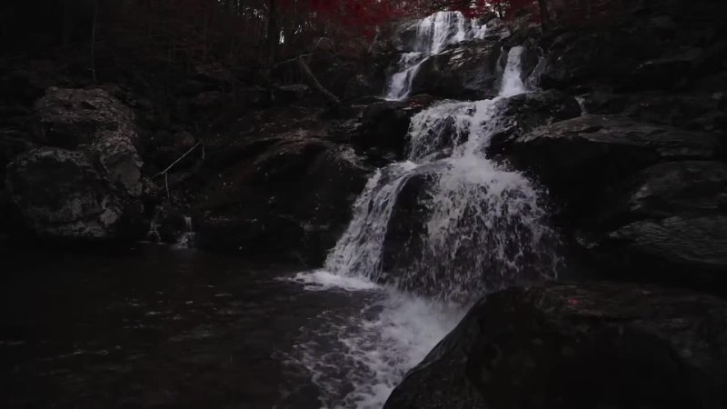 Forest Waterfall Sounds