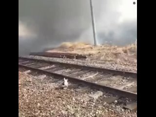 Огненный торнадо в Приморье