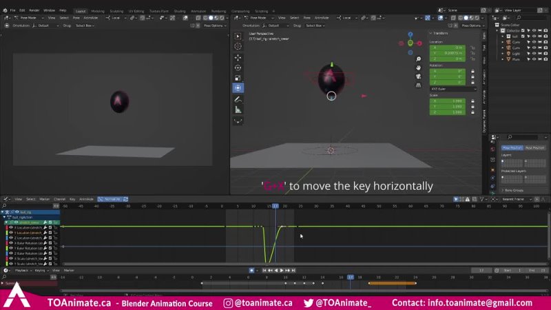 05 Squash  Stretch - Bouncing Ball Exercise