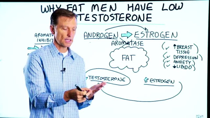Why Do Fat Men Have Low Testosterone