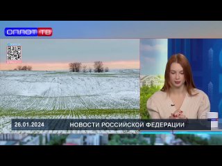️В Донецкой Народной Республике под урожай 2024 года посеяно более 180 тыс. га озимых зерновых