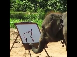 Даже слон рисует слона лучше, чем я