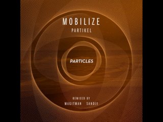 Mobilize - Partikel