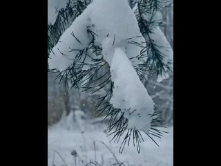 ДОБРЫХ ВАМ СНОВ!