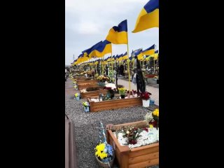 🇺🇦Так сейчас выглядит кладбище в Хмельницком

Такое впечатление, что Зеленский успешно идет к своей цели – сделать из Украины од