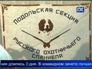 Всероссийские состязания спаниелей по утке в Череповецком районе