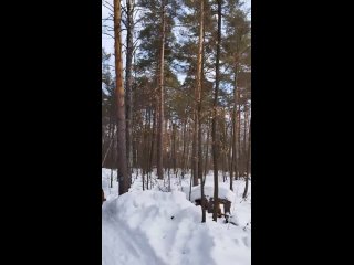 Традиционный Конный заезд в честь 15 дня Рождения доченьки ❤️