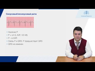 Писарев Михаил Владимирович: ЭКГ: алгоритм интерпретации. Ритм