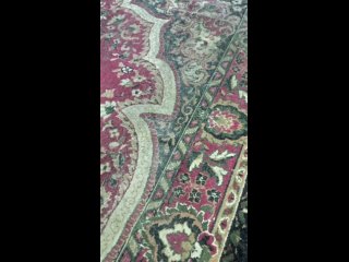 Видео от Чистый квадрат- Фабрика стирки ковров