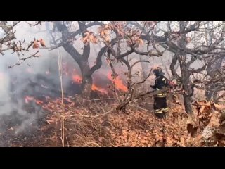 МЧС России усиливает группировку для тушения ландшафтных пожаров в Приморье