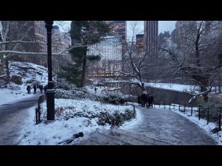 [Tony Walker] Прогулка по Нью-Йорку Центральный парк, 5-я авеню, Брайант-парк, 42-я улица, Нью-Йорк, Манхэттен 4K