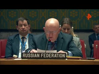 У России есть неопровержимые доказательства соучастия США в деле сбитого Ил-76 - Василий Небензя на заседании СБ ООН