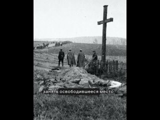 Дизентерия во время Первой Мировой (История Юрия Боткина)