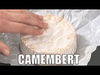 🧀 Scientists predict the end of one of France’s symbols