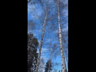 Видео от Девушки снимают  (Челябинск|Копейск)