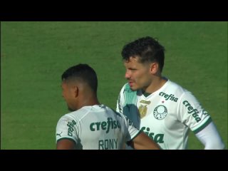 Novorizontino x Palmeiras (Campeonato Paulista 2024 1ª rodada)