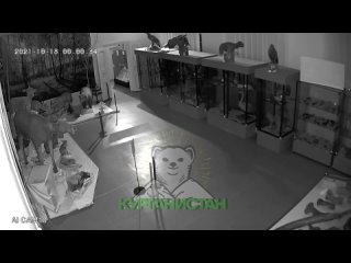 Камера видеонаблюдения сняла курганского призрака на территории бывшей больницы