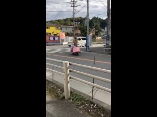 Свиноцикл на случай важных поездок Японский умелец собрал мотоцикл в виде свиньи и даже прокатился на нем по улицам.