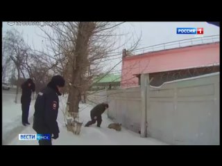 Омские полицейские спасли раненую косулю