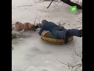Спасатель на детской ватрушке спас пса, который провалился в ледяную воду