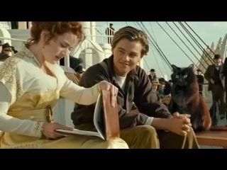 Лео и кот на Титанике