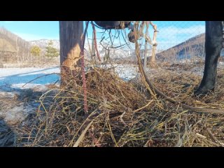 Видео от Вольные горы - конные турпоходы на Алтае